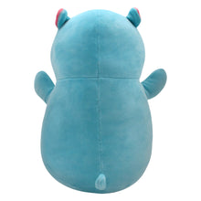 Load image into Gallery viewer, Squishmallows - 14&quot; Hugmees
