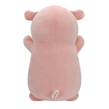 Load image into Gallery viewer, Squishmallows - 10&quot; Hugmees
